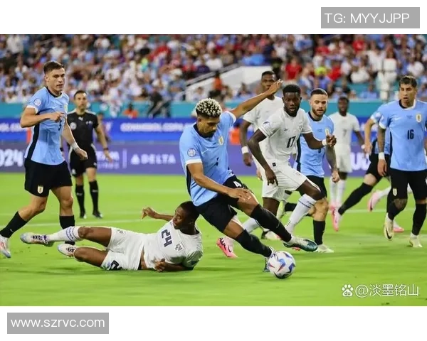 2010年世界杯乌拉圭与法国激战回顾与精彩瞬间分析